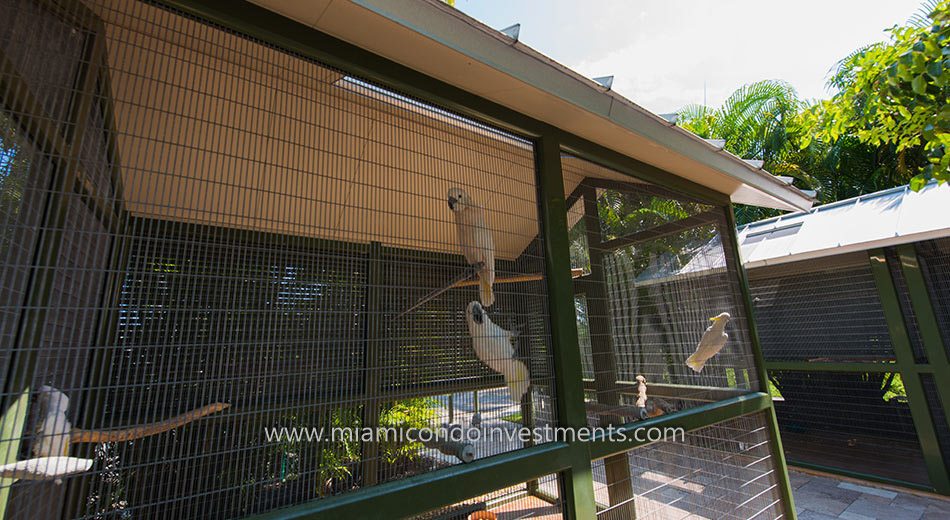 Parrots at the aviary on Fisher Island in Florida