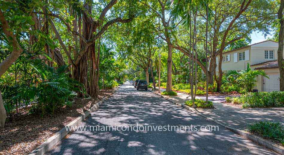 Morningside tree-lined street