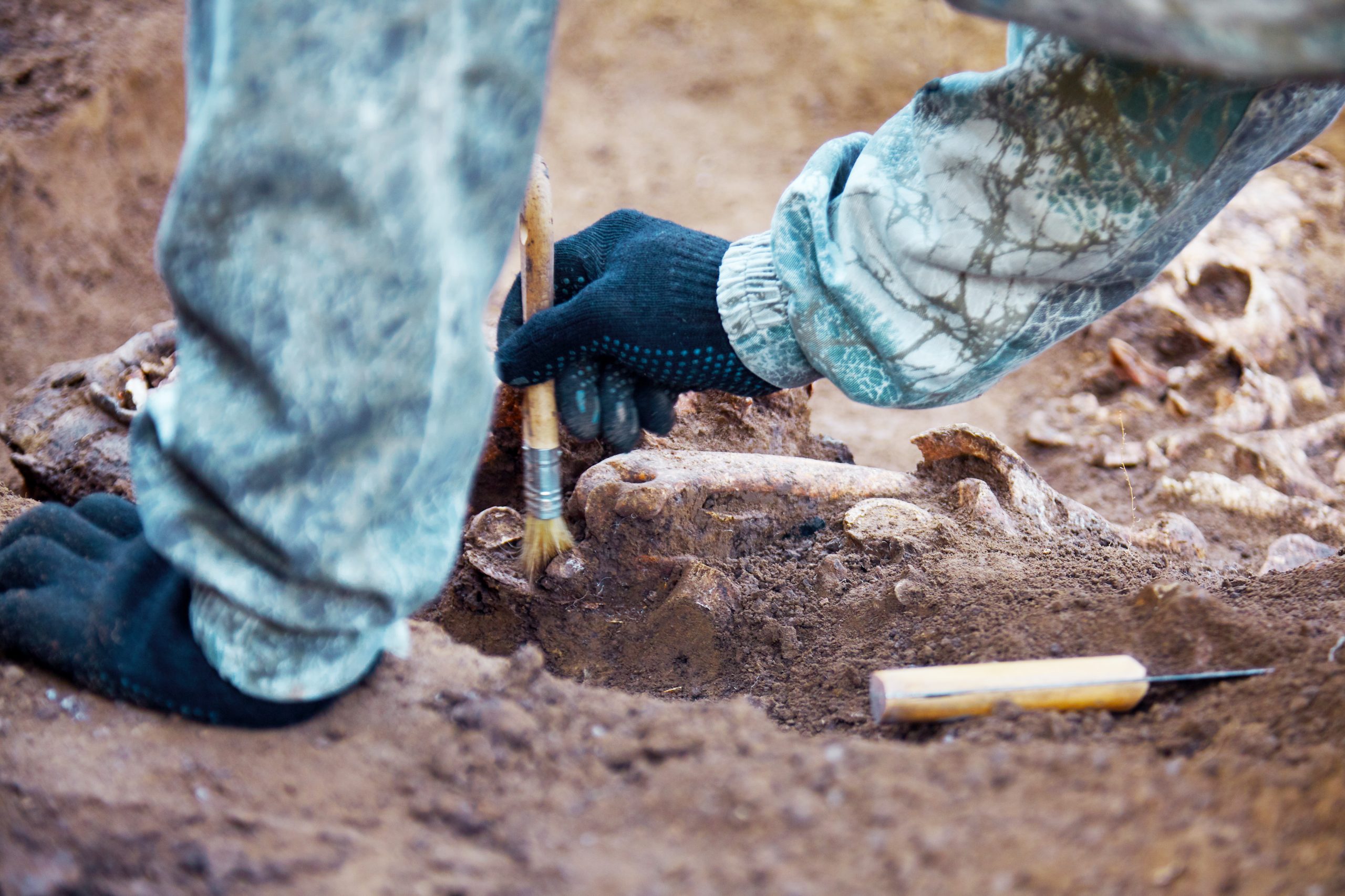 Related Group Finds 7000 Year Old Objects at New Construction Site